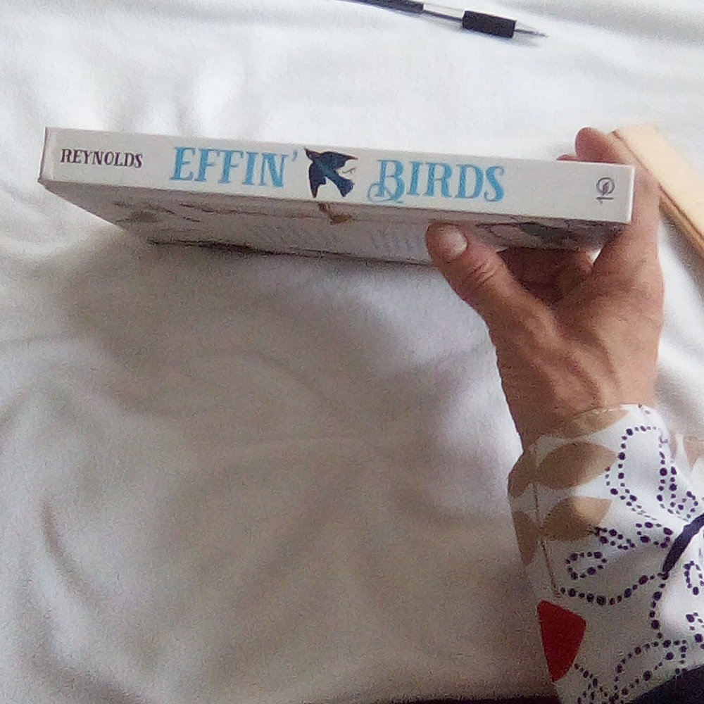Effin' Birds: A Field Guide to Identification - Aaron Reynolds - Picture 9 of 9
